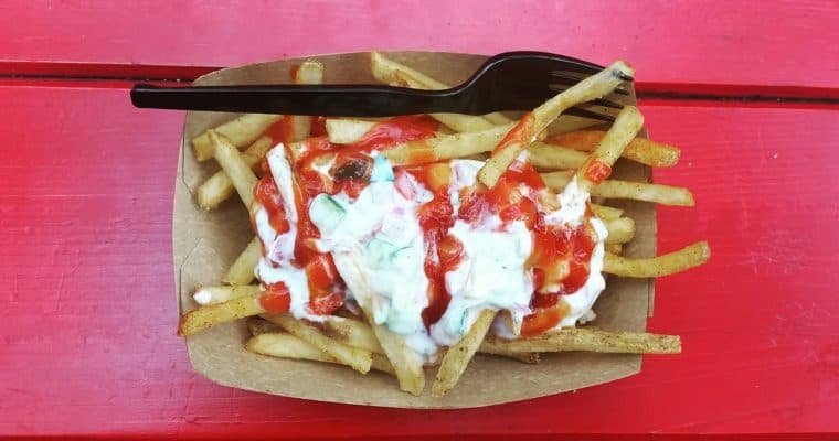 Disney’s Animal Kingdom Mr. Kamal’s Seasoned Fries Review